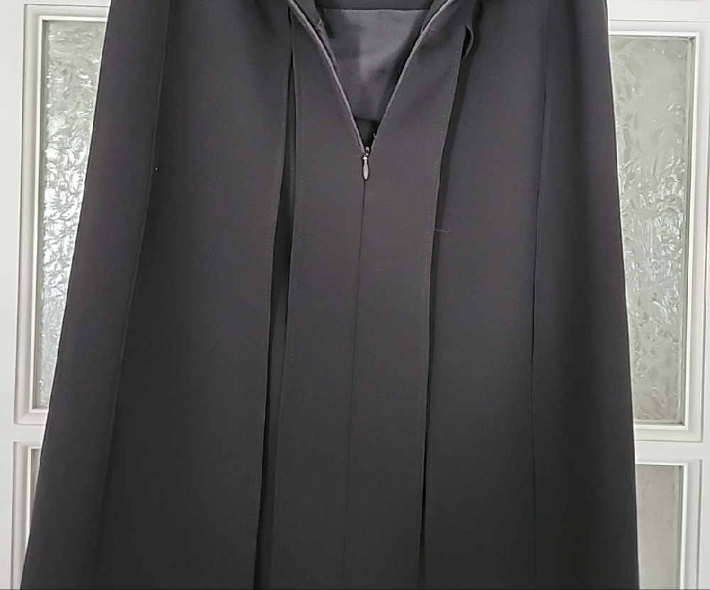 🇨🇦***GORGEOUS Frank Lyman Design / Sophisticated Black Skirt